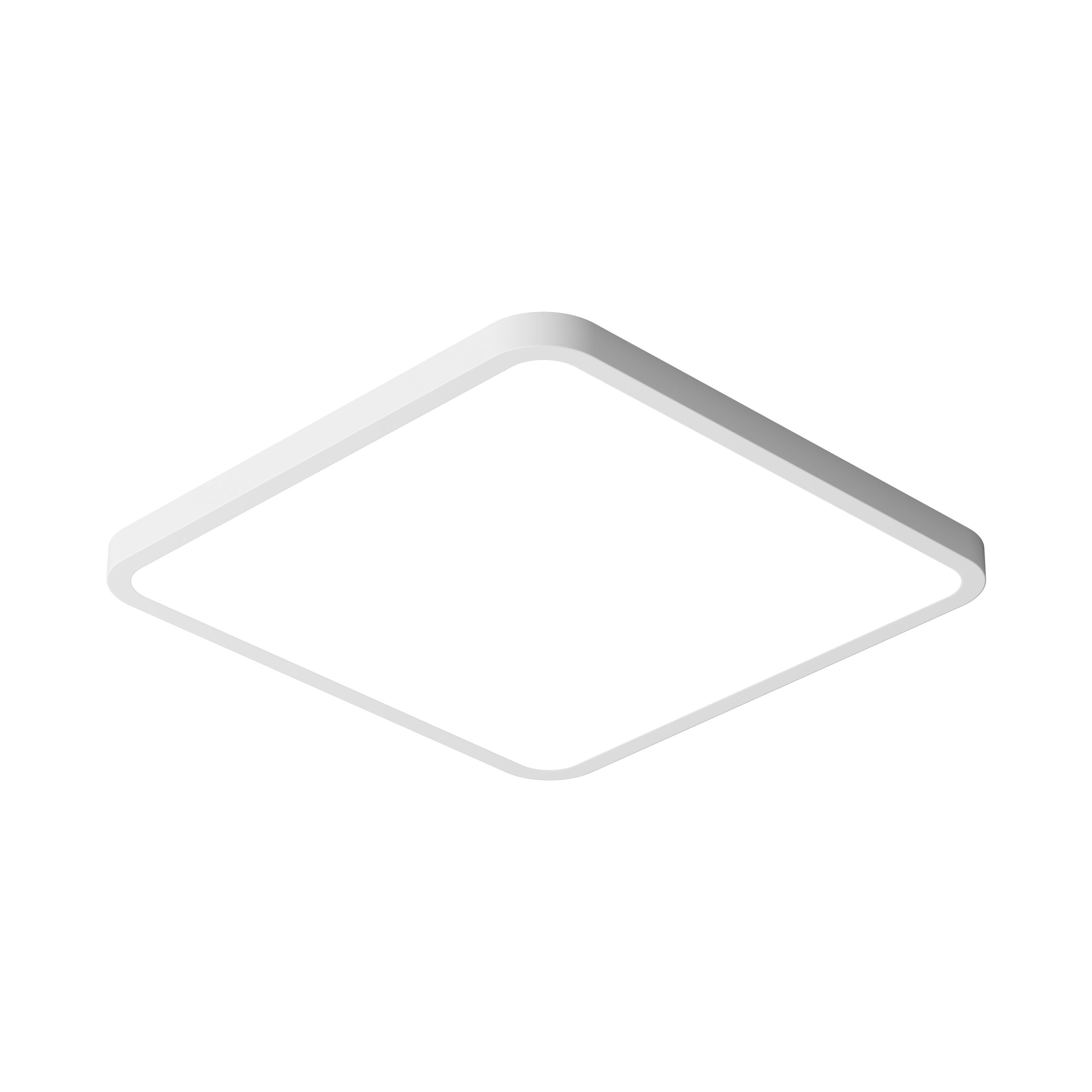 Smart Ceiling Light