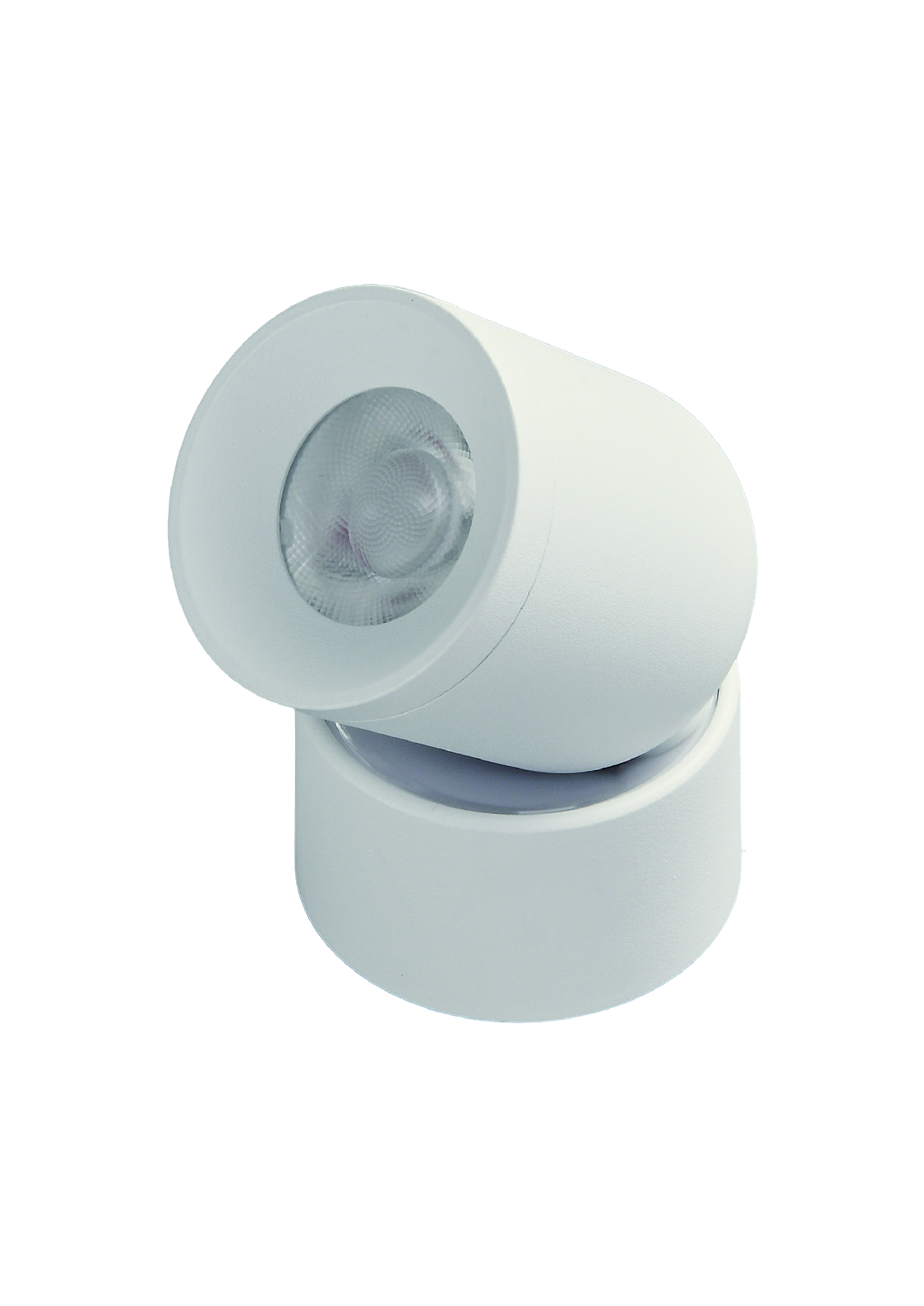 ROUND DIRECTIONAL SPOTLIGHT